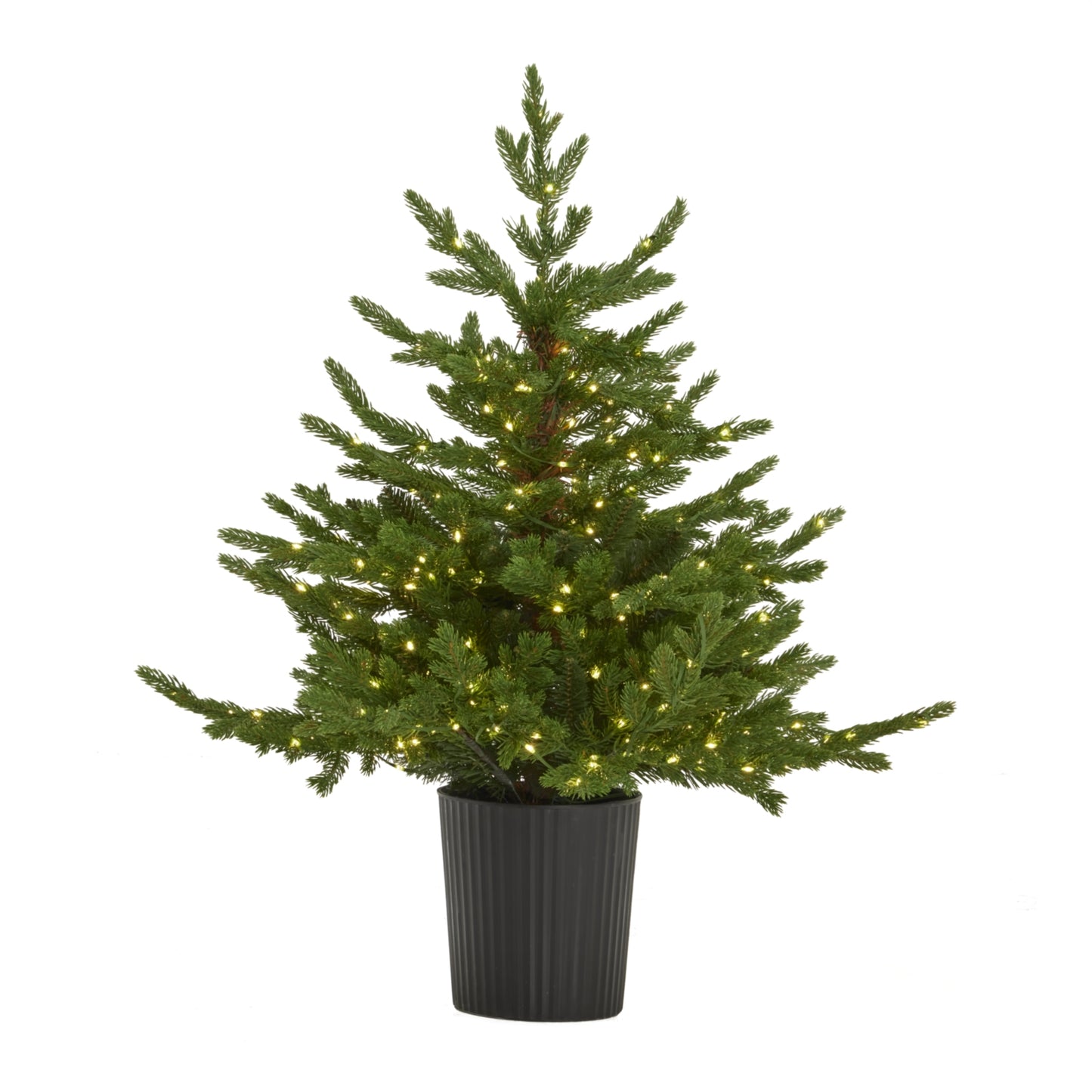 Green Forest Fir Pre-Lit Led 300L Christmas Tree In Pot