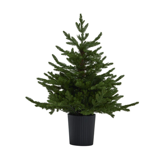 Green Forest Fir Pre-Lit Led 300L Christmas Tree In Pot