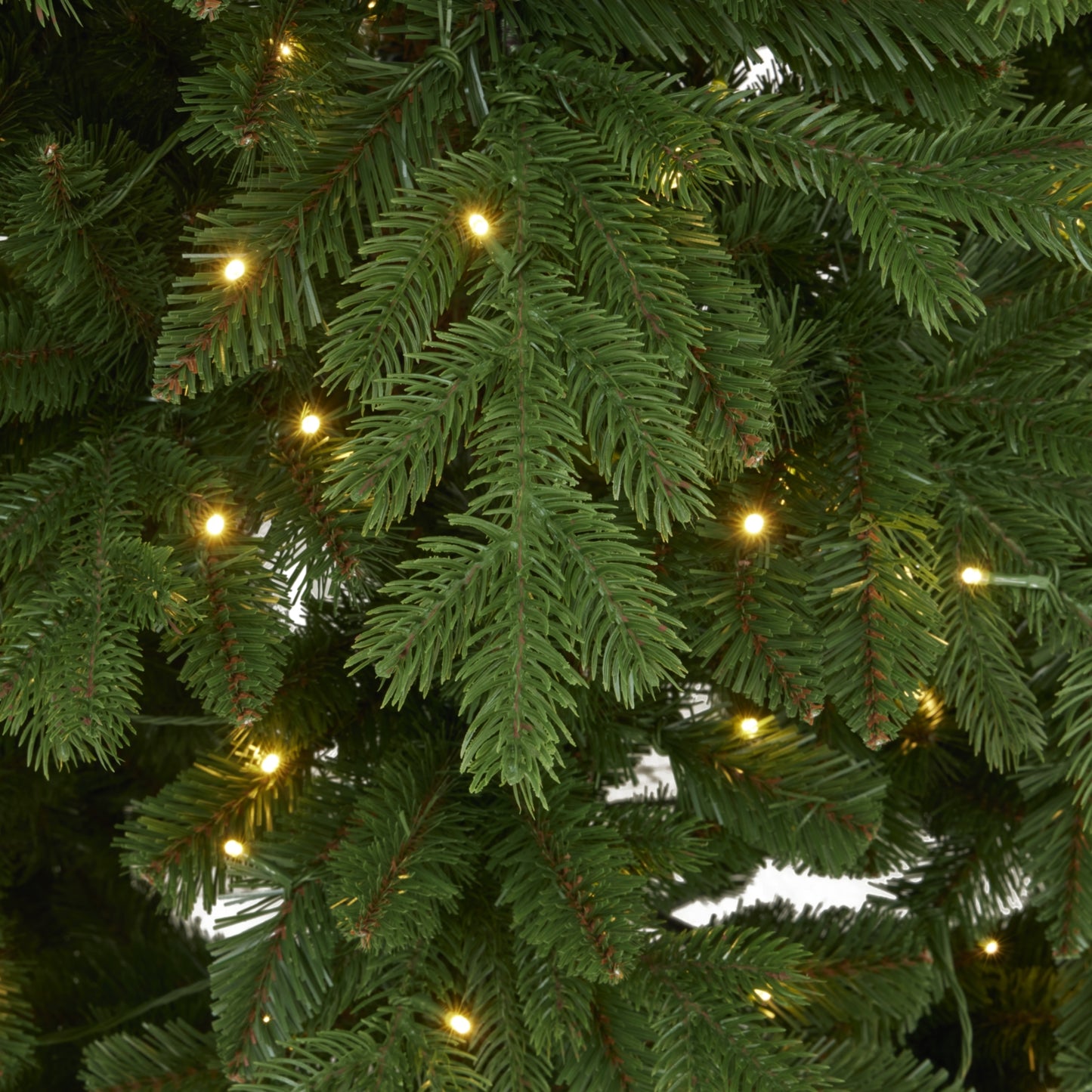 Green Forest Fir Pre-Lit 300L Led Christmas Tree